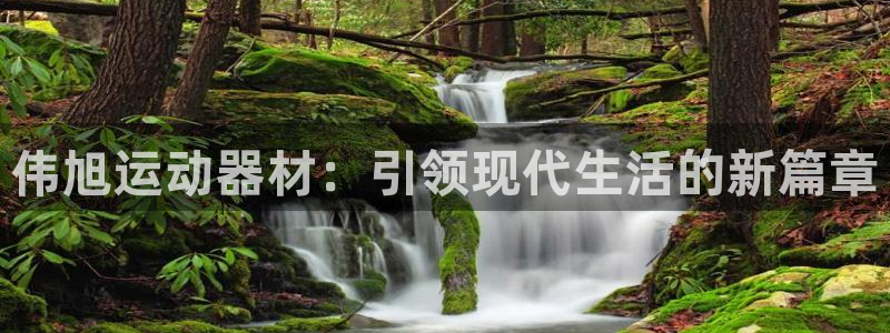 凯捷体育娱乐首页网站大全：伟旭运动器材：引领现代生活的新篇章