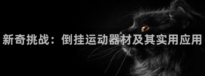 凯捷体育招商电话号码查询：新奇挑战：倒挂运动器材及其实用应用