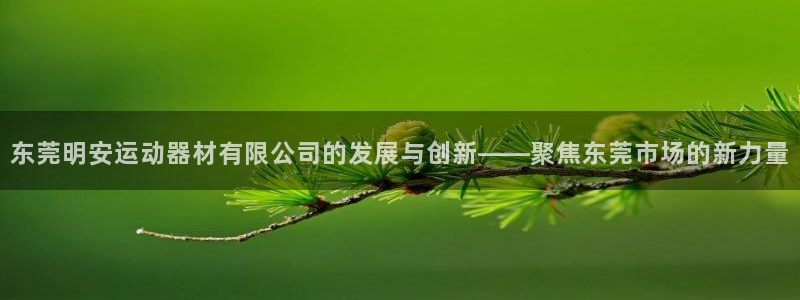 凯捷体育招商电话号码查询是多少：东莞明安运动器材有限