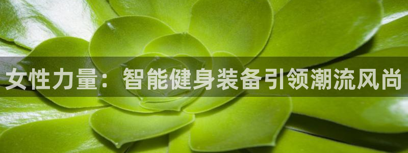 意昂平台体育：女性力量：智能健身装备引领潮流风尚