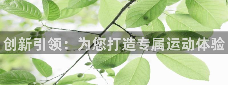 凯捷体育集团简介：创新引领：为您打造专属运动体验