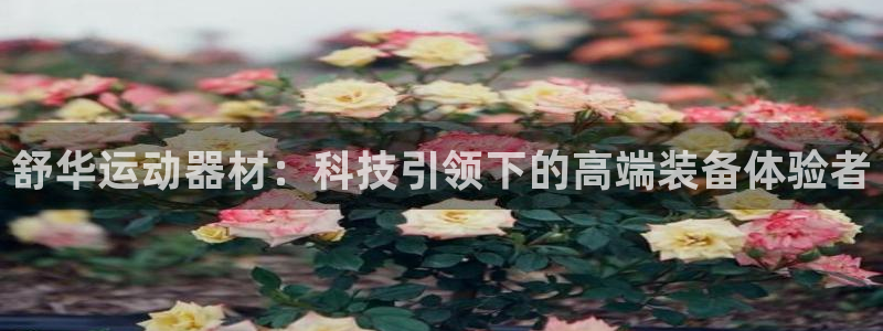 凯捷体育开户：舒华运动器材：科技引领下的高端装备体验