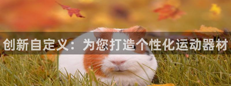 凯捷体育招商电话号码查询是多少：创新自定义：为您打造