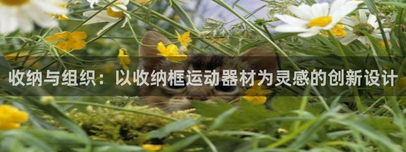 凯捷体育招商电话地址是多少：收纳与组织：以收纳框运动