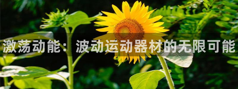 凯捷体育招商电话地址：激荡动能：波动运动器材的无限可