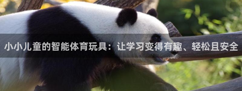 凯捷体育平台：小小儿童的智能体育玩具：让学习变得有趣