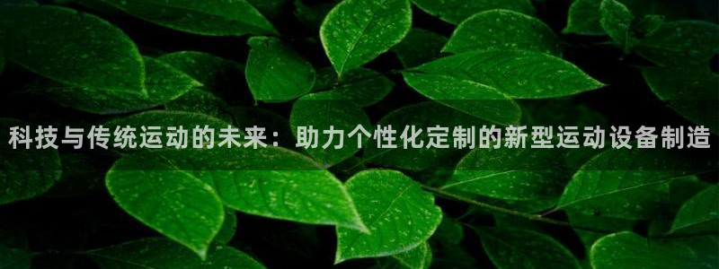 德国凯捷体育集团：科技与传统运动的未来：助力个性化定