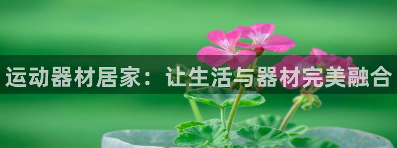 凯捷体育神州：运动器材居家：让生活与器材完美融合