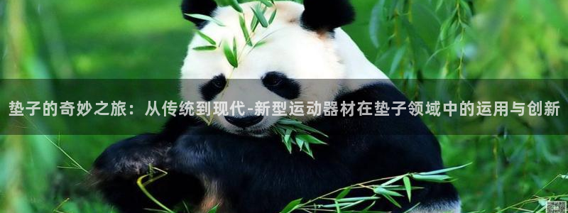 凯捷体育平台注册要钱吗是真的吗：垫子的奇妙之旅：从传