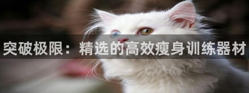 凯捷体育招商电话是多少啊：突破极限：精选的高效瘦身训
