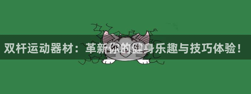 凯捷体育娱乐首页网站大全：双杆运动器材：革新你的健身