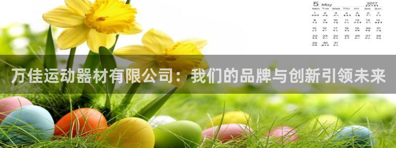 凯捷体育官网:万佳运动器材有限公司:我们的品牌与创新引领未来