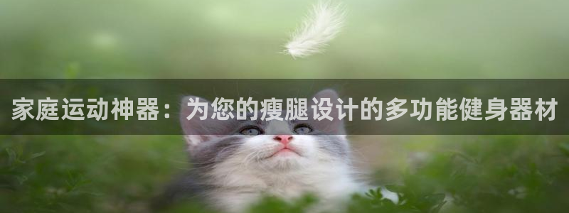 凯捷体育集团官网首页网址