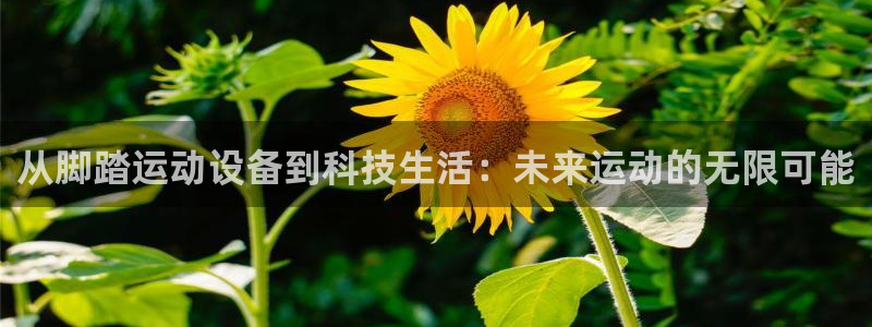 凯捷体育平台注册流程图：从脚踏运动设备到科技生活：未