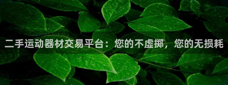 凯捷体育是干嘛的公司：二手运动器材交易平台：您的不虚