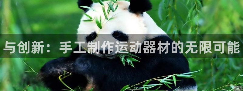 注册凯捷体育：与创新：手工制作运动器材的无限可能