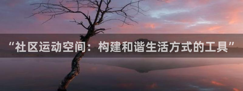 凯捷体育官方：“社区运动空间：构建和谐生活方式的工具