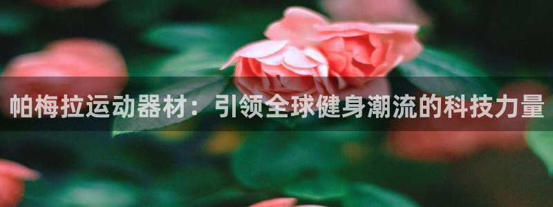 凯捷体育神州:帕梅拉运动器材:引领全球健身潮流的科技力量