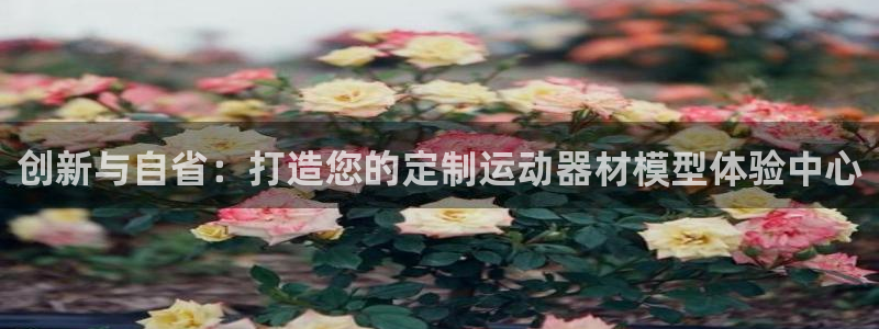 凯捷体育平台：创新与自省：打造您的定制运动器材模型体