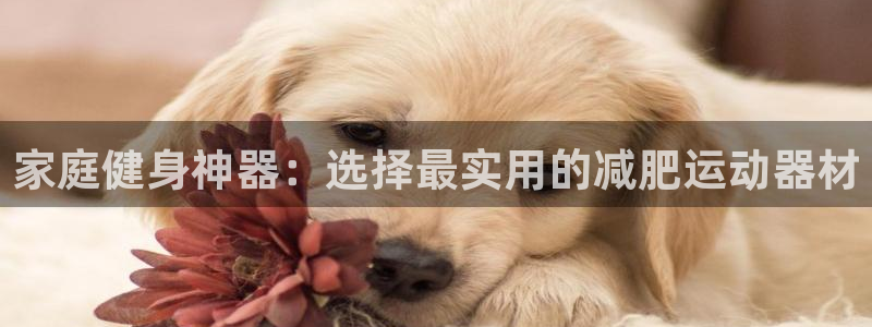 凯捷体育集团官网首页：家庭健身神器：选择最实用的减肥