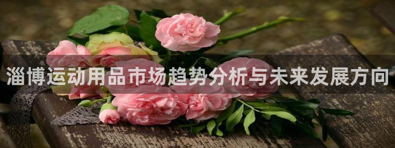 凯捷体育招商电话号码查询：淄博运动用品市场趋势分析与