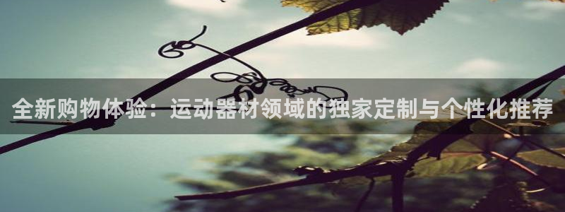 凯捷体育平台注册流程视频：全新购物体验：运动器材领域