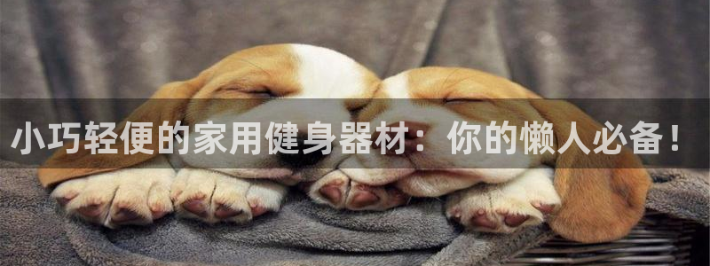 凯捷体育娱乐网站：小巧轻便的家用健身器材：你的懒人必