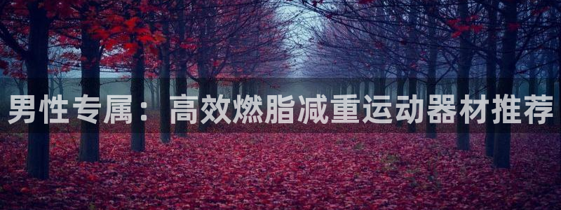 凯捷体育集团logo：男性专属：高效燃脂减重运动器材