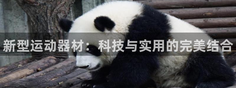 凯捷体育平台注册要钱吗是真的吗：新型运动器材：科技与