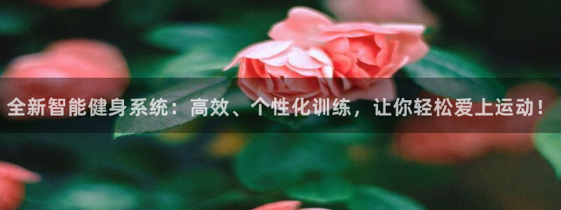 凯捷体育五金厂:全新智能健身系统:高效、个性化训练,让你轻松