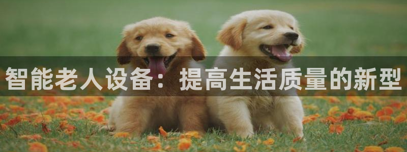凯捷体育平台