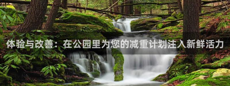 凯捷体育娱乐是那个系列的台子:体验与改善:在公园里为您的减重