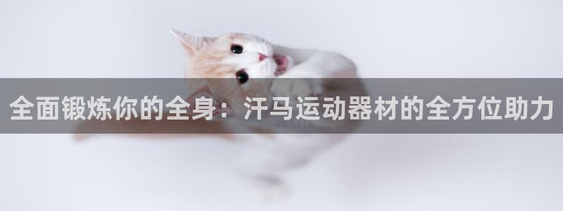 凯捷体育五金厂:全面锻炼你的全身:汗马运动器材的全方位助力