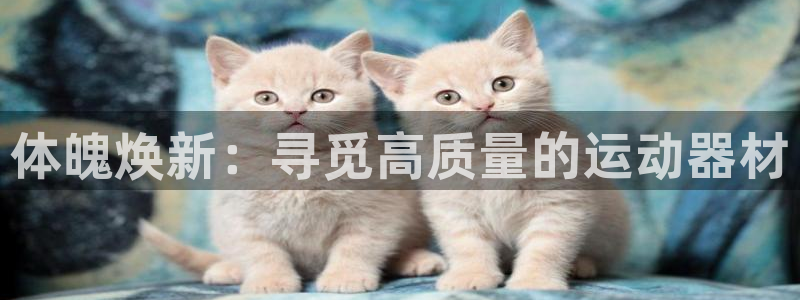 海南凯捷体育发展怎么样：体魄焕新：寻觅高质量的运动器