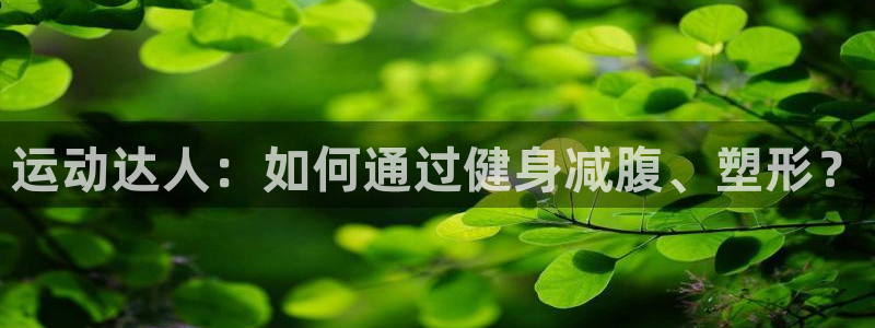 凯捷体育是干嘛的公司