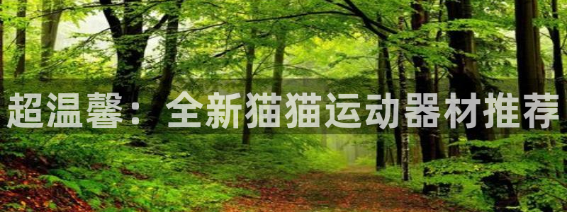 凯捷体育招商电话地址：超温馨：全新猫猫运动器材推荐