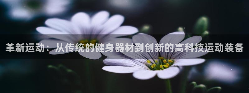 凯捷体育招商：革新运动：从传统的健身器材到创新的高科