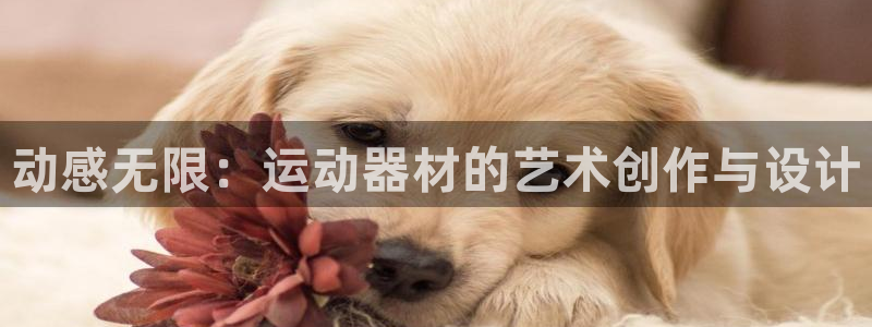 凯捷体育娱乐首页网站大全：动感无限：运动器材的艺术创