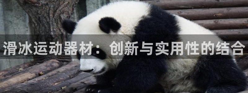 凯捷体育招商电话号码查询：滑冰运动器材：创新与实用性