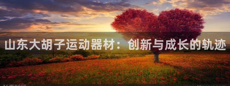 凯捷体育集团官网网址：山东大胡子运动器材：创新与成长