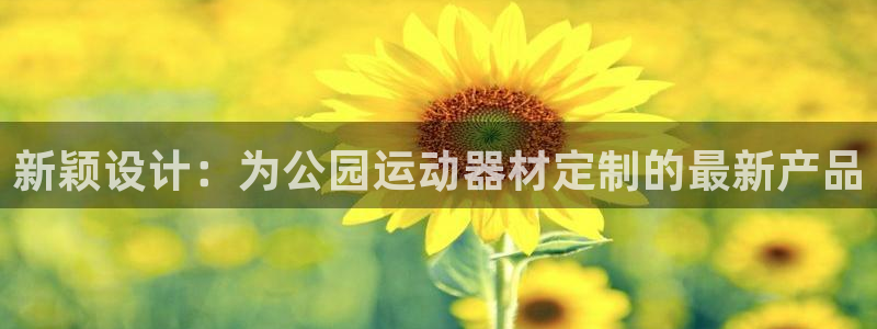 海南凯捷体育发展怎么样：新颖设计：为公园运动器材定制