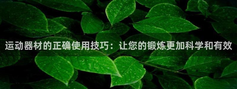 凯捷体育新能源：运动器材的正确使用技巧：让您的锻炼更