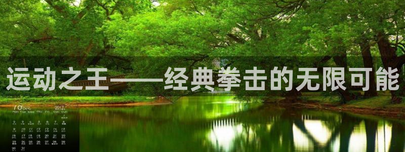 凯捷体育是干嘛的公司：运动之王——经典拳击的无限可能