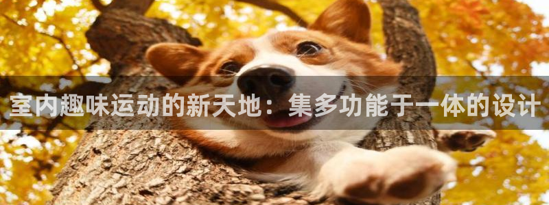 凯捷体育招商电话号码：室内趣味运动的新天地：集多功能