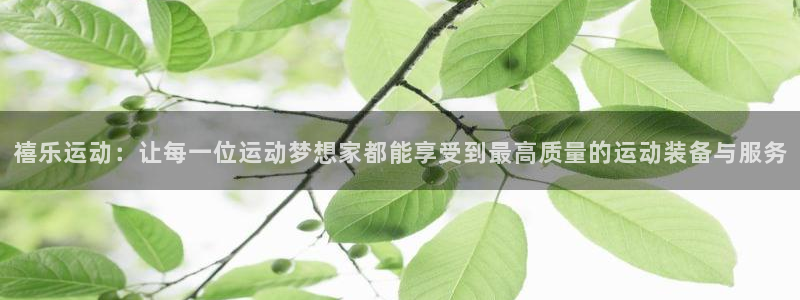 凯捷体育招商电话地址是多少：禧乐运动：让每一位运动梦